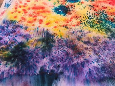 Jan, wildflowers, Brusho paint.jpg